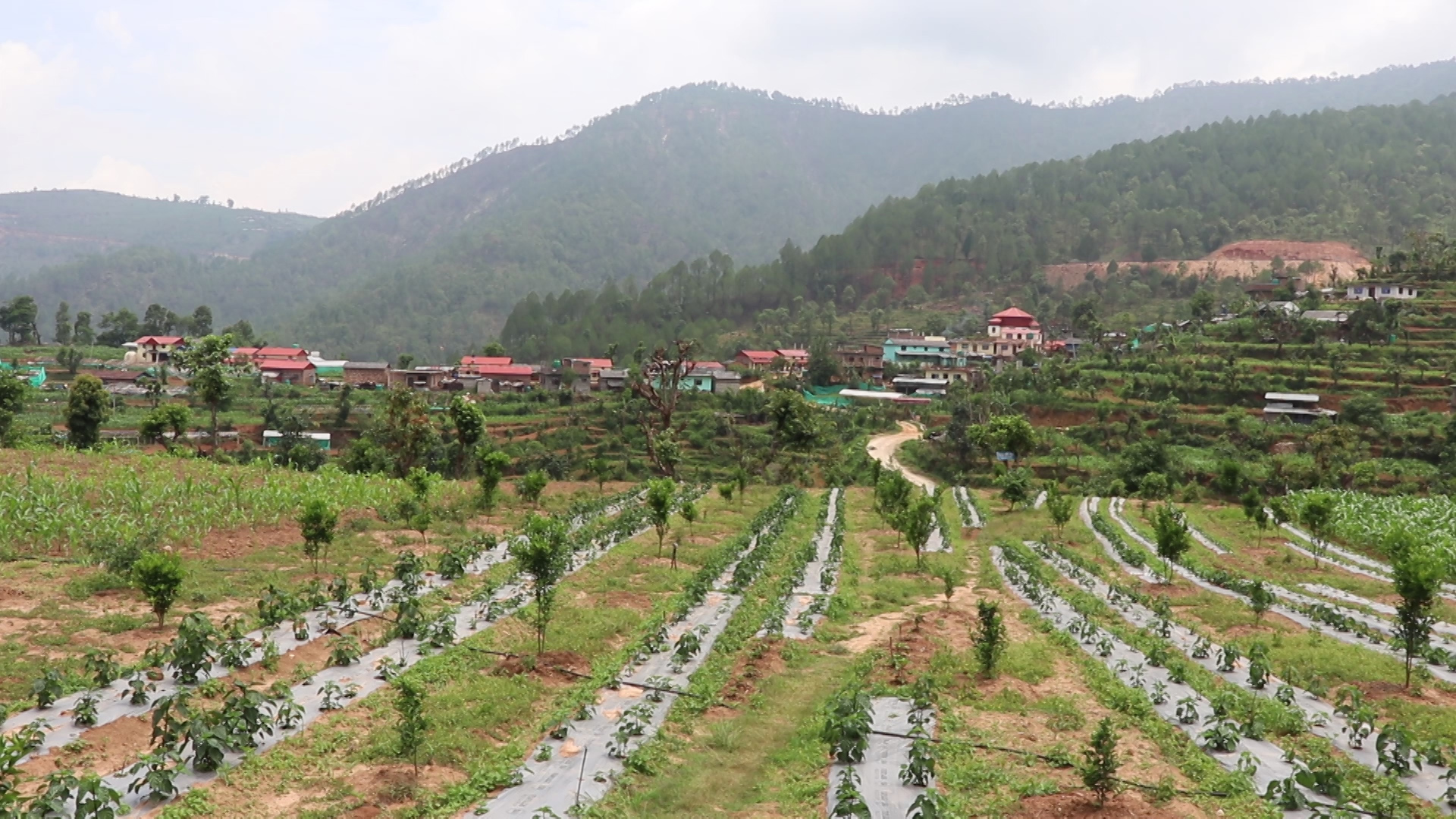 गृहपृष्ठ