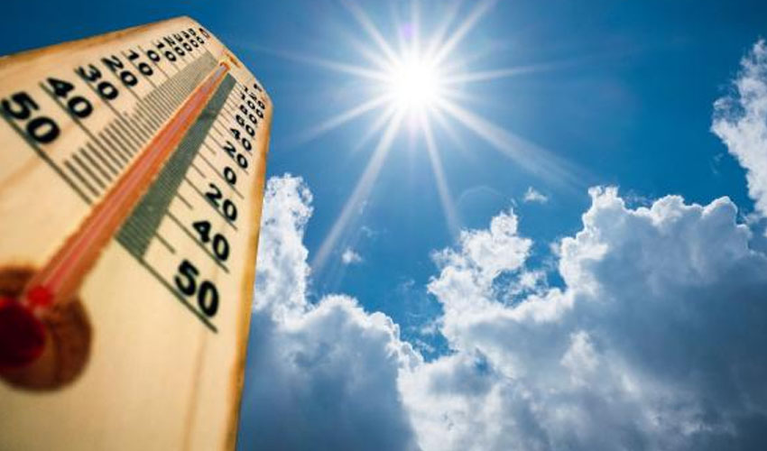 गृहपृष्ठ